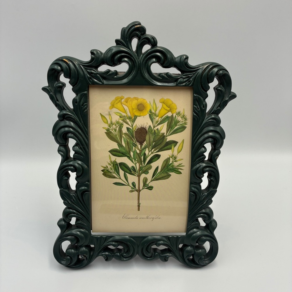 Vintage Style Ornate Forest Green Baroque Picture Frame Botanical Floral Print